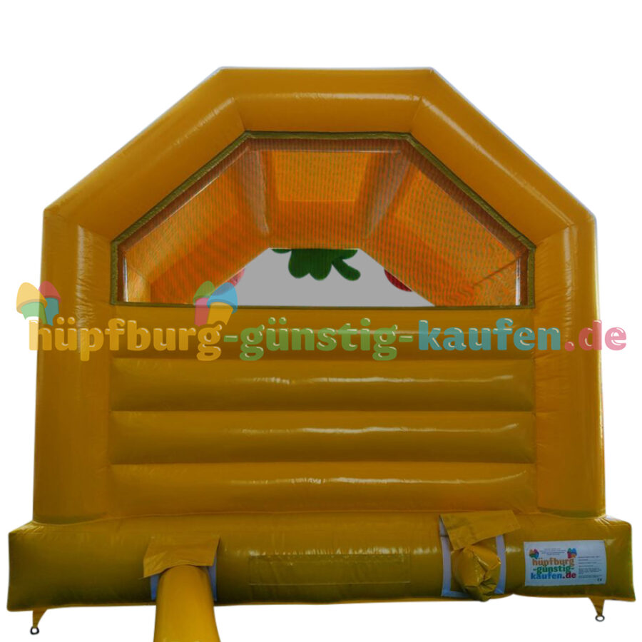 Hüpfburg Glücksbringer – Bild 14
