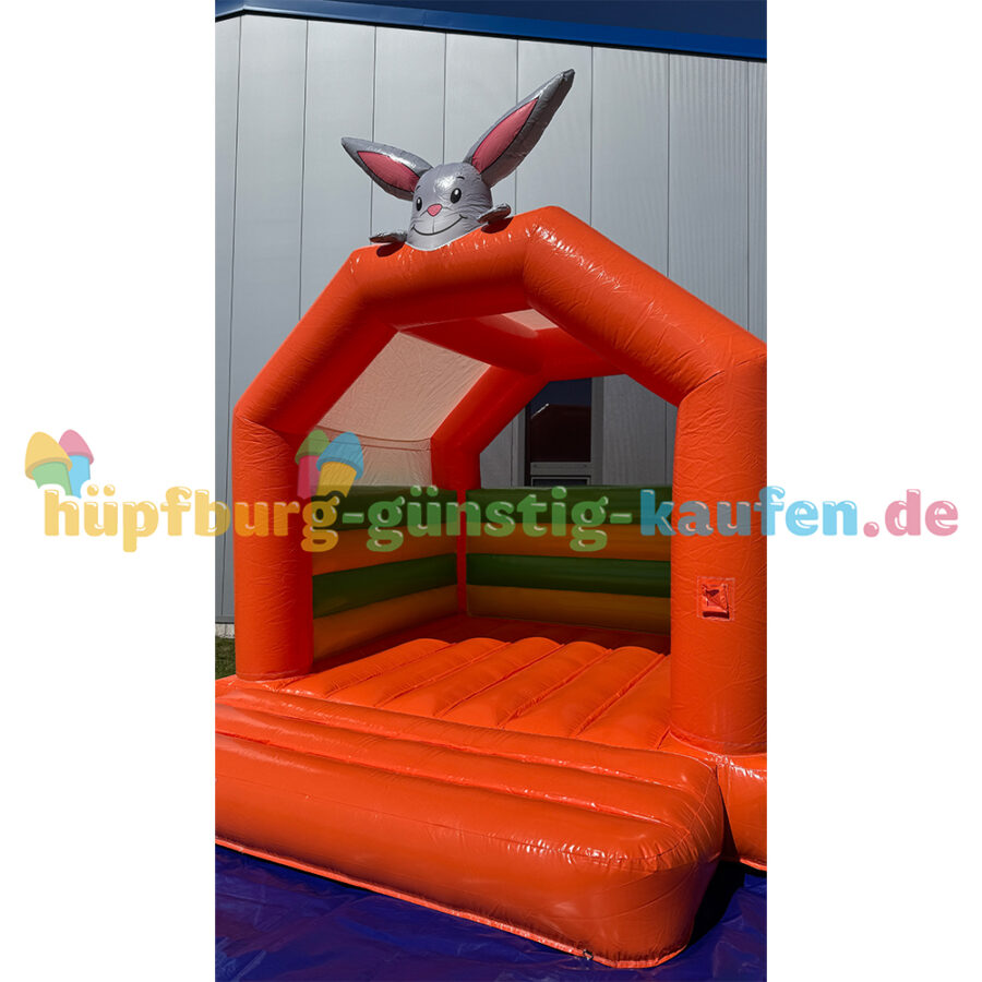 Hüpfburg Häschen – Bild 9